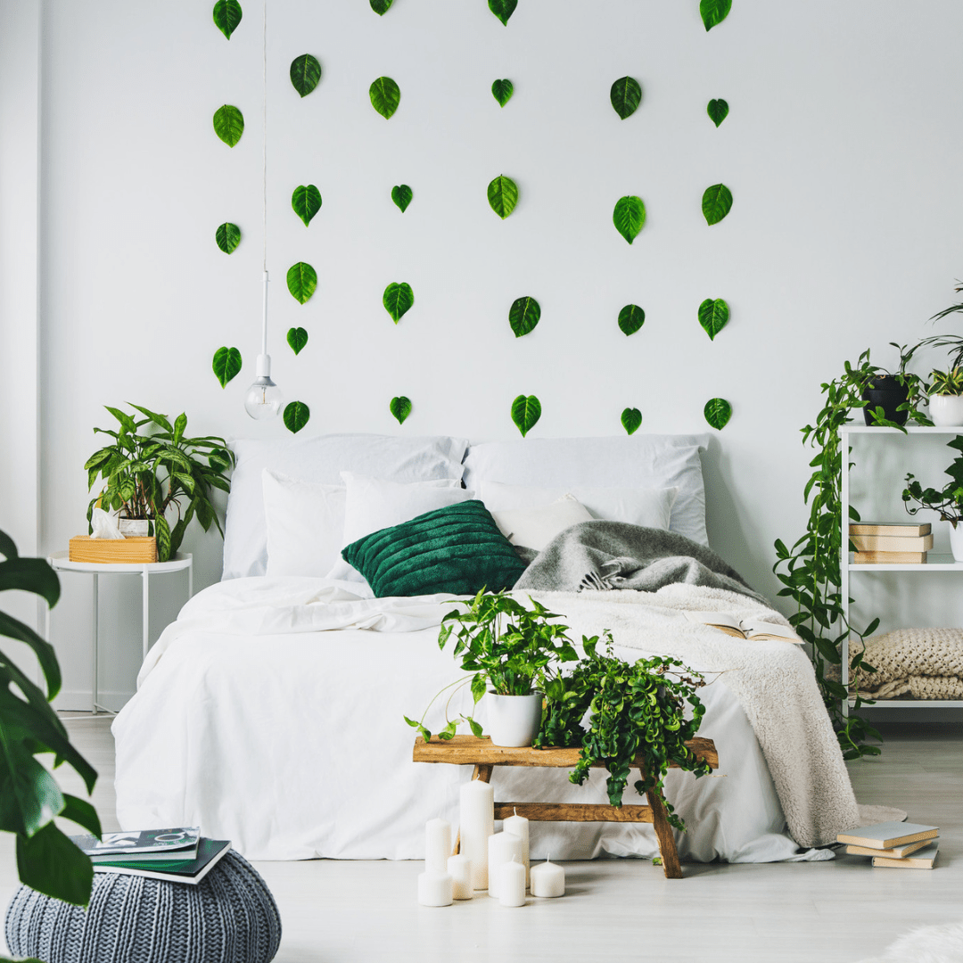 Jungle Fever: Skab din egen urbane jungle - Green Bubble