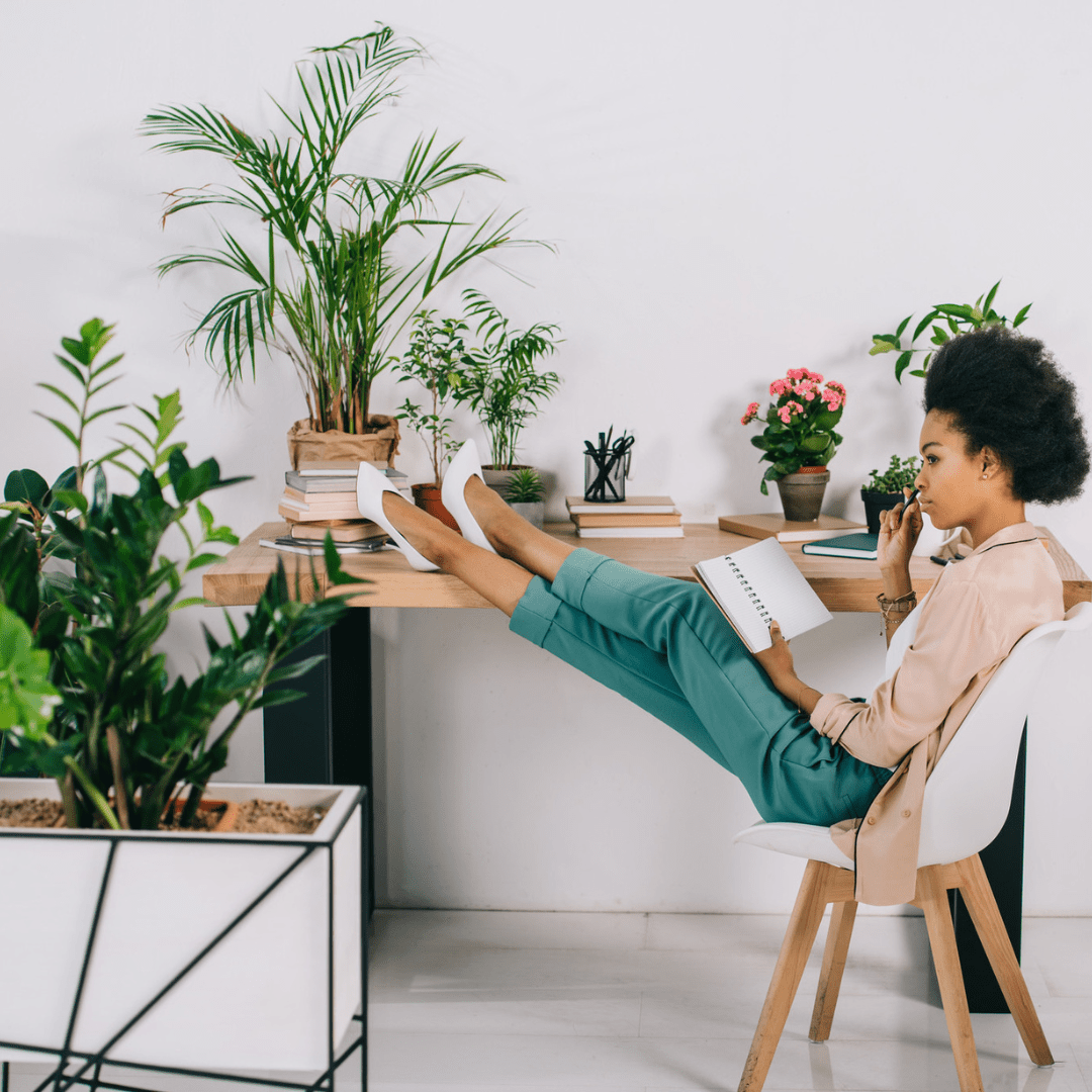 Stress? Deze planten helpen je met ontspannen - Green Bubble
