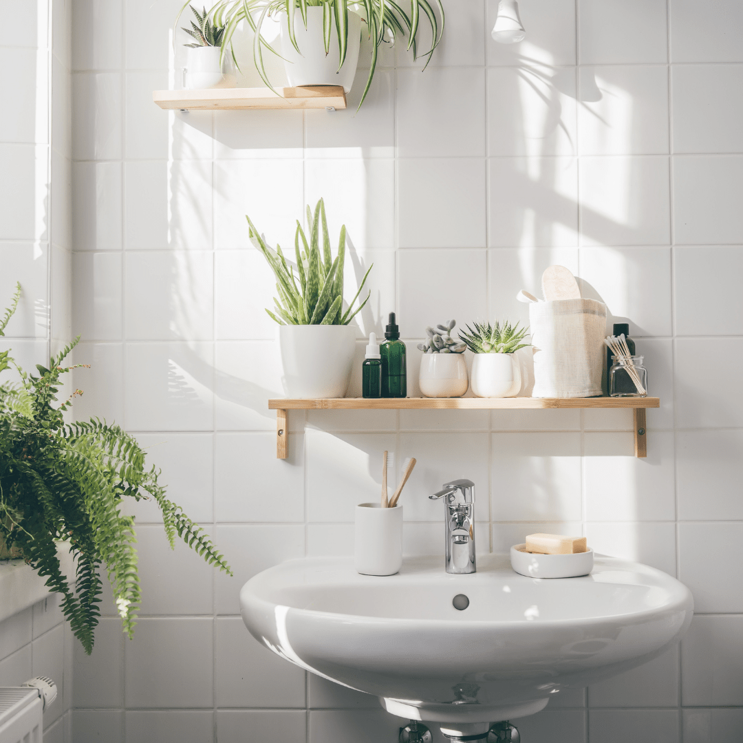 Skapa en botanisk spa-oas i ditt badrum med växter - Green Bubble