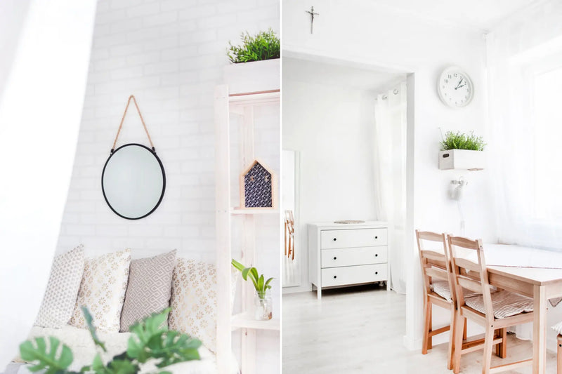Geef je interieur een Scandinavische touch met groene planten! - Green Bubble
