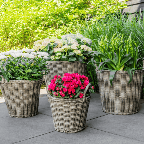 Outdoor wicker baskets collectie Green Bubble