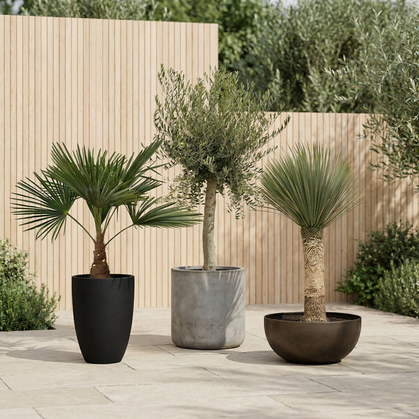 Buitenplanten collectie Green Bubble