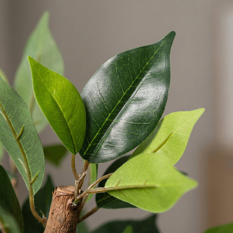 Kunst Ficus collectie Green Bubble