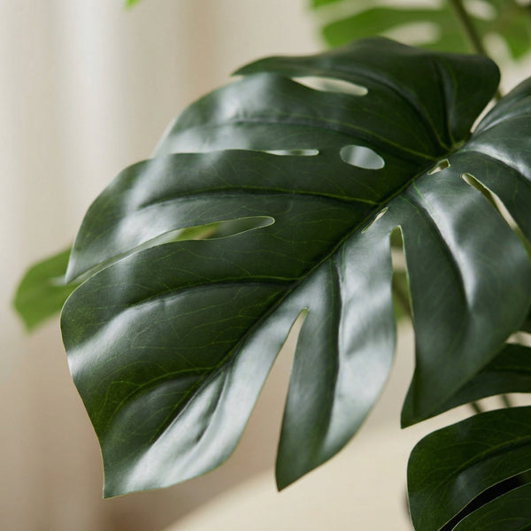 Kunst Monstera collectie Green Bubble
