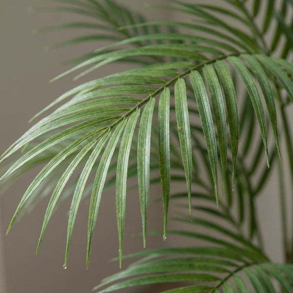 Kunst Palm collectie Green Bubble