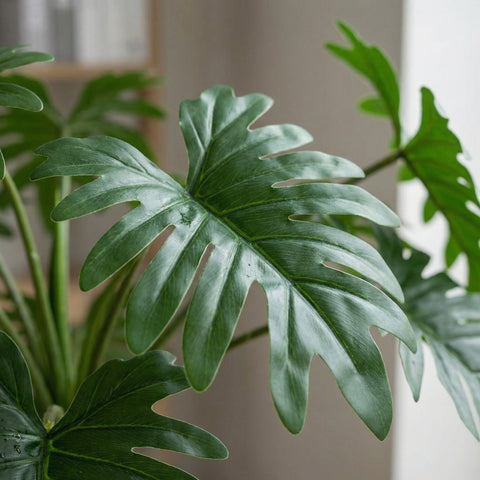 Kunst Philodendron collectie Green Bubble