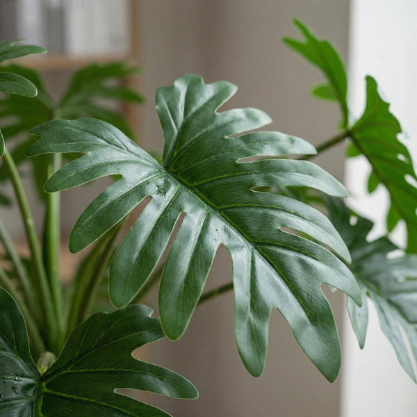 Kunst Philodendron collectie Green Bubble