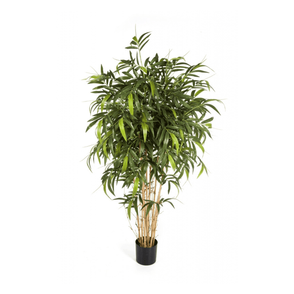 Art Bamboo Nuevo Natural collectie Green Bubble