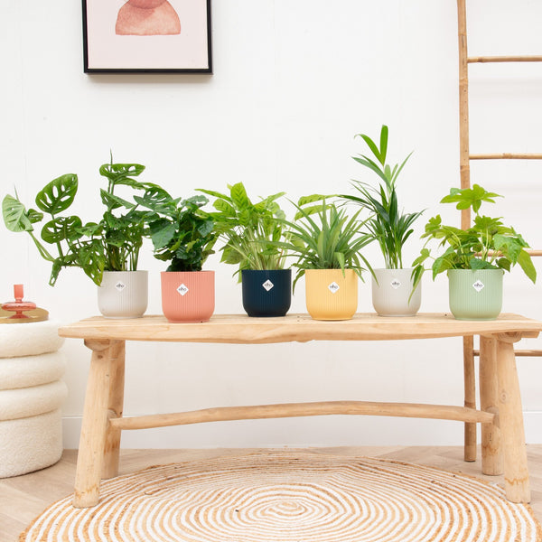 Overraskelsespakker collectie Green Bubble