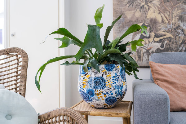 Designed by Lammie pot Dutch Blue kopen bij Green Bubble