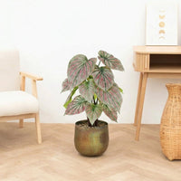 Kunst Caladium green / pink - 57cm