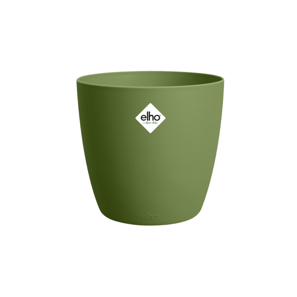 Groen
