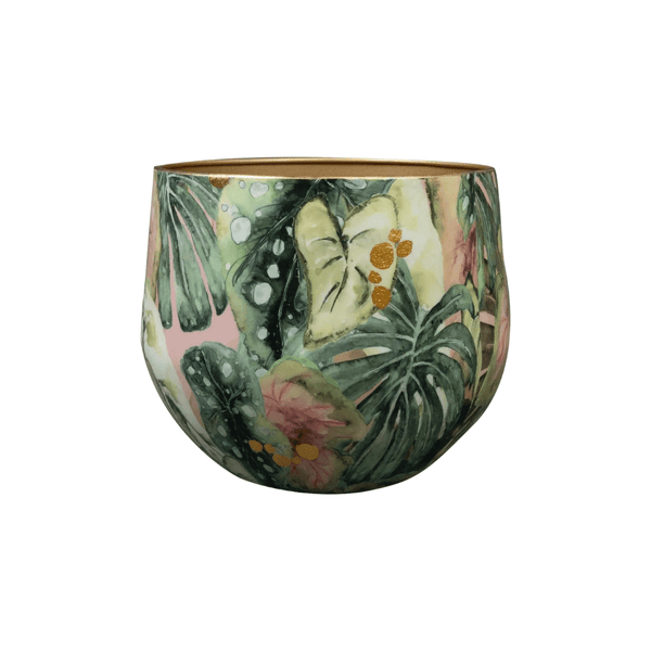 Pot Monstera Mystery kopen bij Green Bubble
