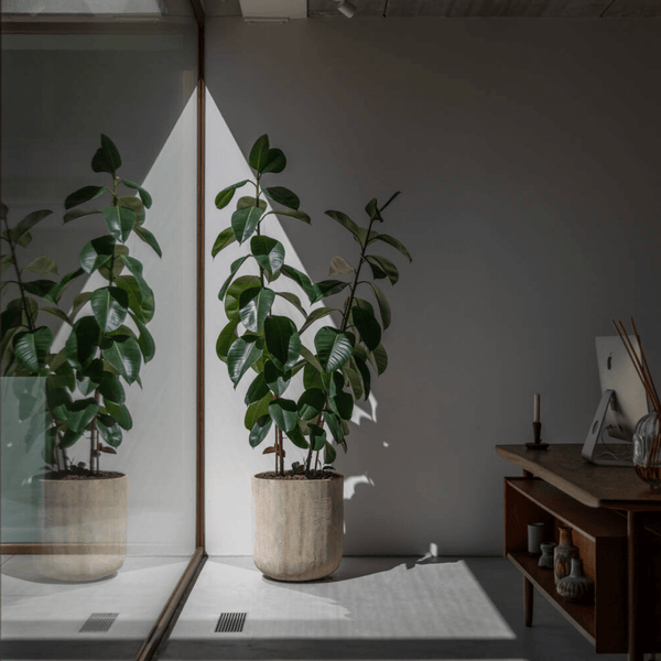 Pot Madoka Wabi Beige kopen bij Green Bubble