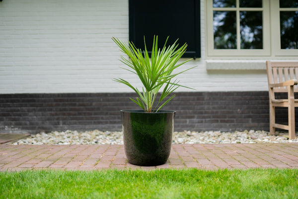 Pot Palermo marble groen kopen bij Green Bubble