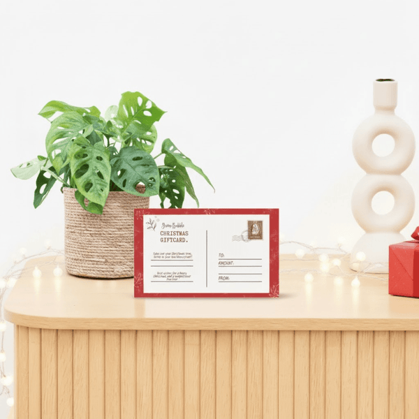 Monstera Monkey leaf inclusief mand Scott + kerst cadeaubon 100 euro kopen bij Green Bubble