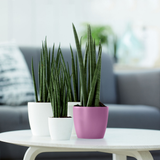 Pot Elho Brussels Round Mini violet