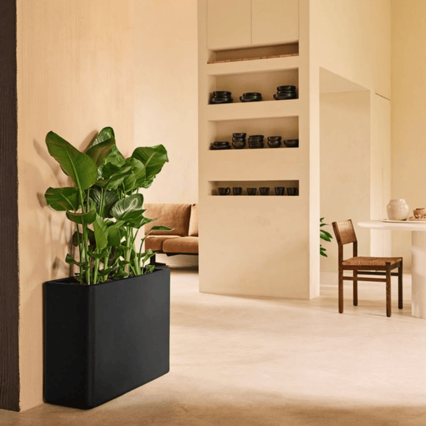 Pot Elho June Brick Divider Zwart kopen bij Green Bubble