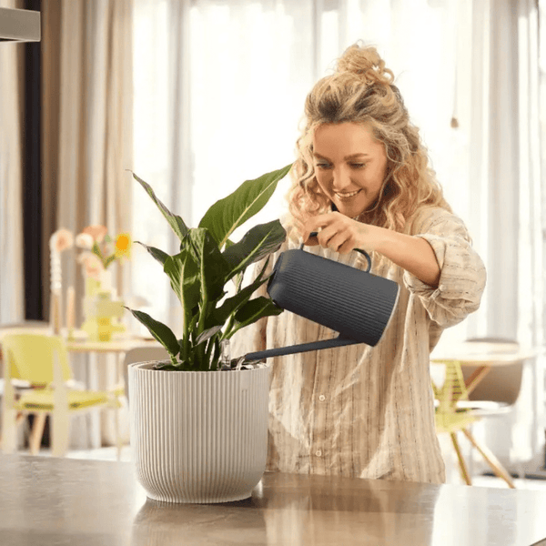 Elho Vibes Fold Gieter - zwart kopen bij Green Bubble