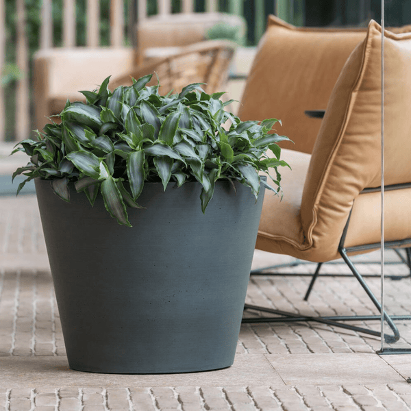 Pot bucket pine green kopen bij Green Bubble