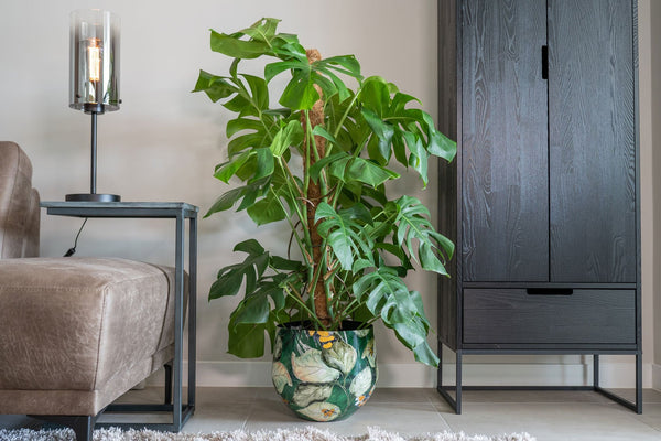 Designed by Lammie Pot Bee Green kopen bij Green Bubble