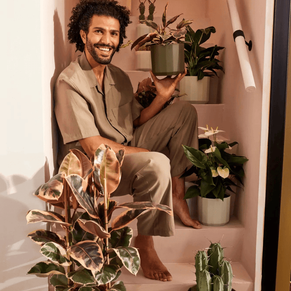 Elho Facet rond groen kopen bij Green Bubble