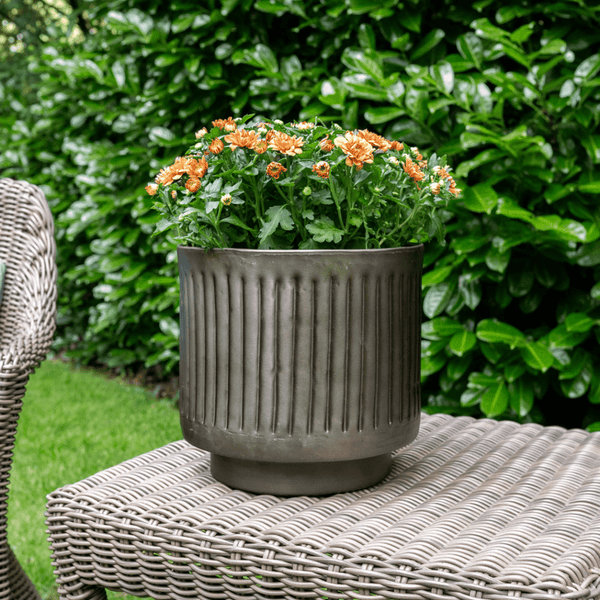 Pot Elna lead kopen bij Green Bubble
