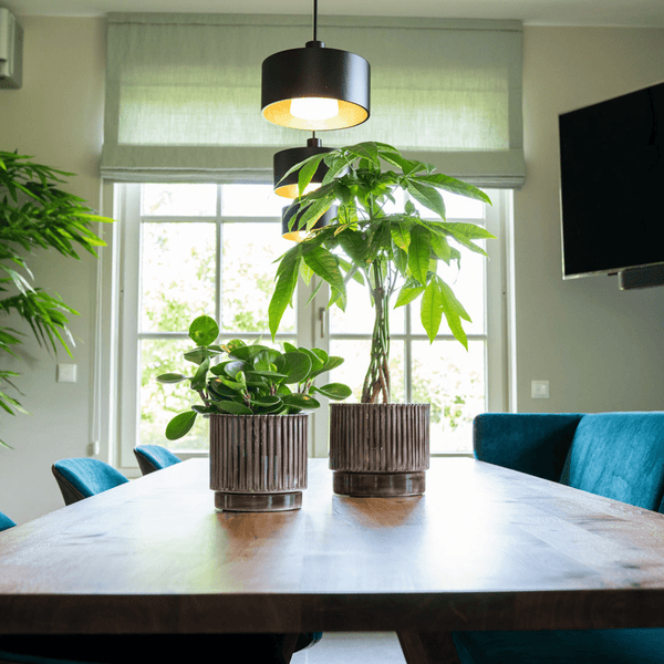 Pot Nella coffee kopen bij Green Bubble
