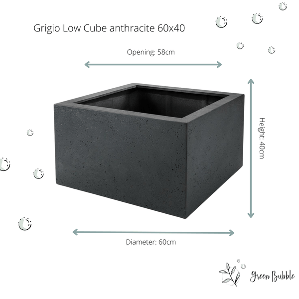 Grigio low cube antraciet kopen bij Green Bubble