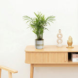 Product afbeelding 2