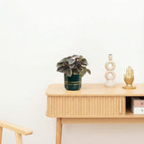 Product afbeelding 2