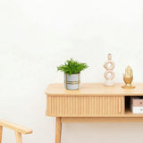Product afbeelding 2