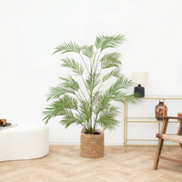 Kunst Areca - 120cm