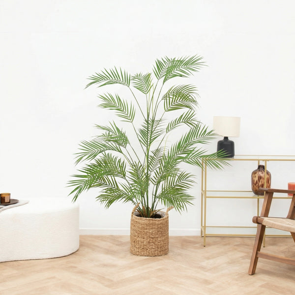 Kunst Areca - 120cm kopen bij Green Bubble