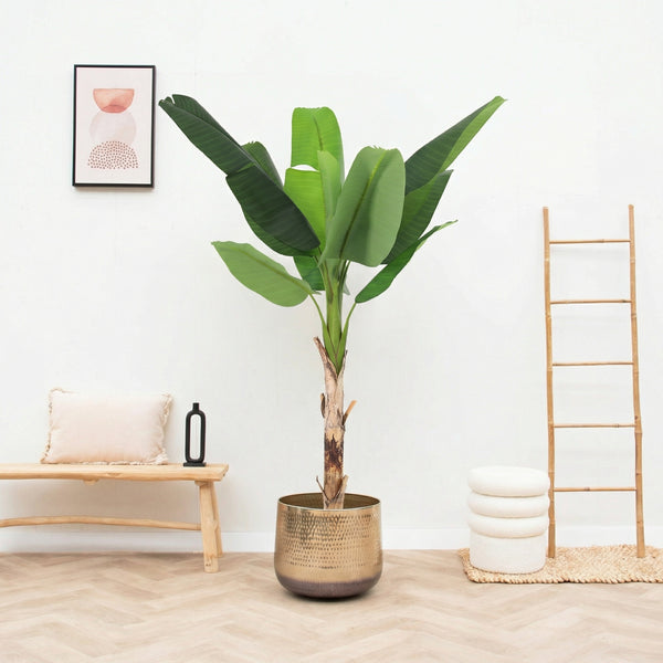 Kunst Bananenplant Musa - 190cm kopen bij Green Bubble