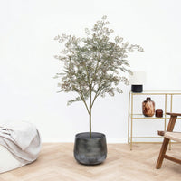 Kunst Bucida - 165cm