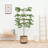 Product afbeelding 1