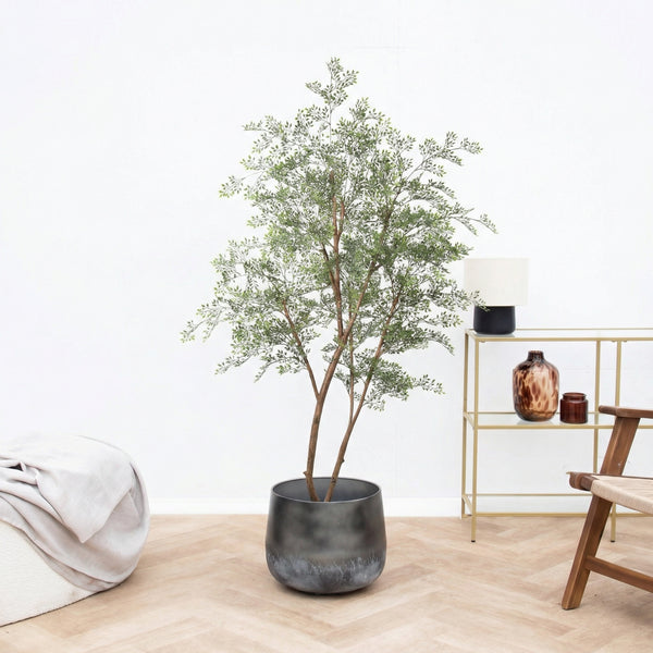 Kunst Cassia boom - 180cm kopen bij Green Bubble