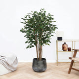Product afbeelding 1