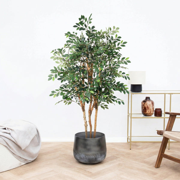 Kunst Ficus Exotica - 150cm kopen bij Green Bubble