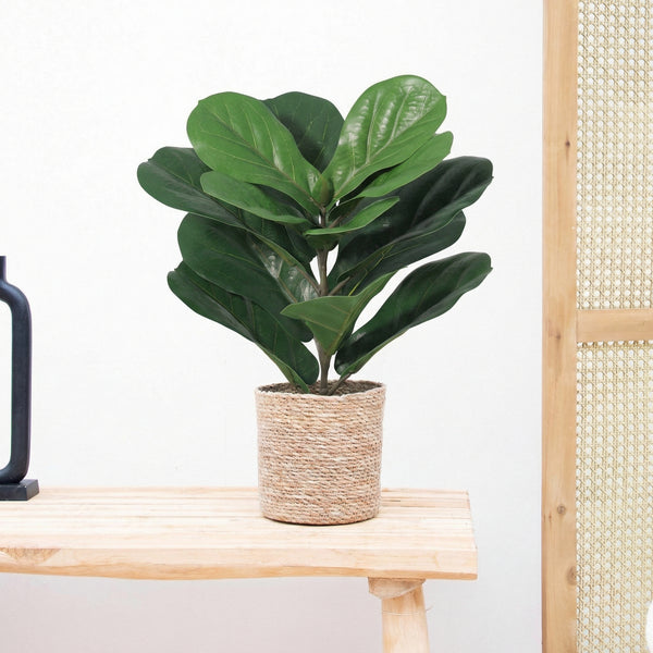 Kunst Ficus lyrata - 40cm kopen bij Green Bubble
