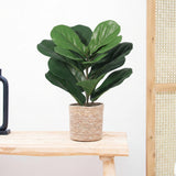 Product afbeelding 1