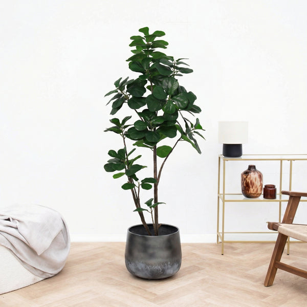 Kunst Ficus lyrata vertakt - 150cm kopen bij Green Bubble