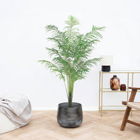 Kunst Kentia palm - 170cm