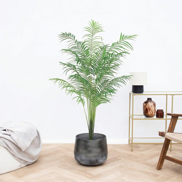 Kunst Kentia palm - 170cm kopen bij Green Bubble
