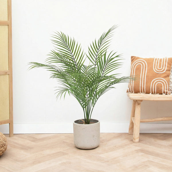 Kunst Kentia palm - 65cm kopen bij Green Bubble