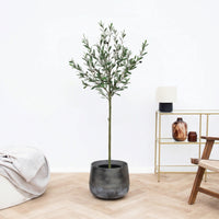 Kunst Olijfboom - 150cm
