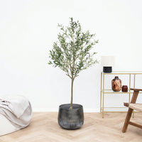 Kunst Olijfboom - 169cm