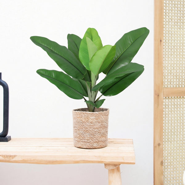 Kunst Philodendron Jungle King - 45cm kopen bij Green Bubble