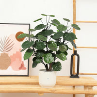 Kunst Polysicas Fabian - 55cm